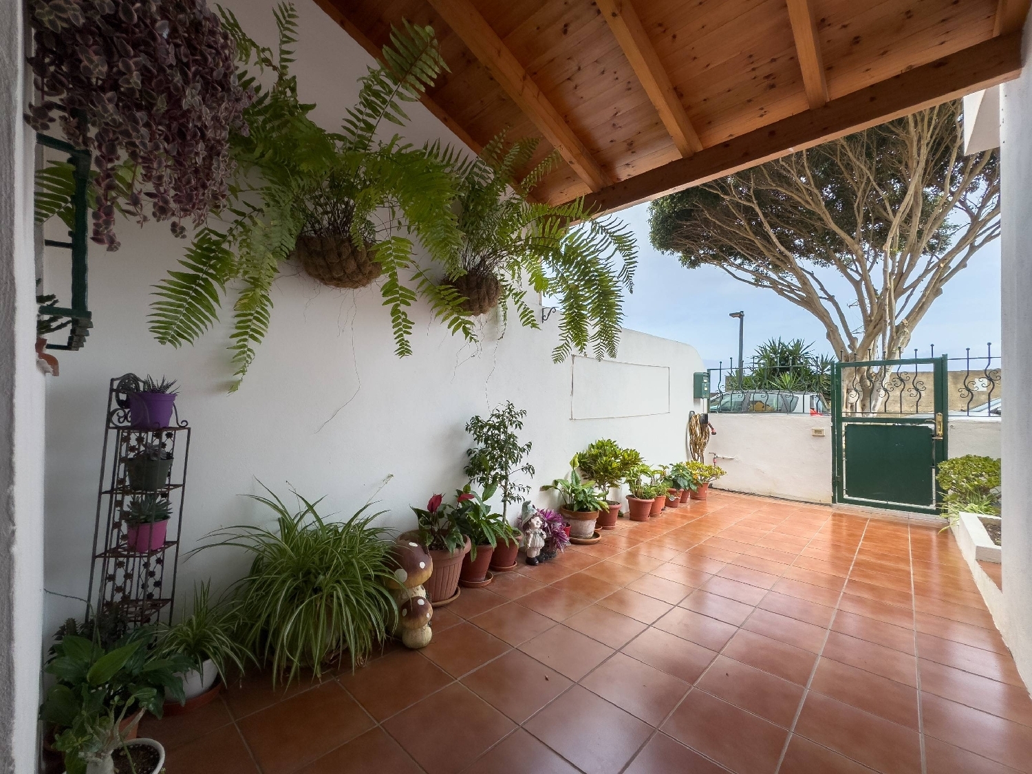  for sale house San Cristóbal De La Laguna Centro 38201 Zona Metropolitana 6