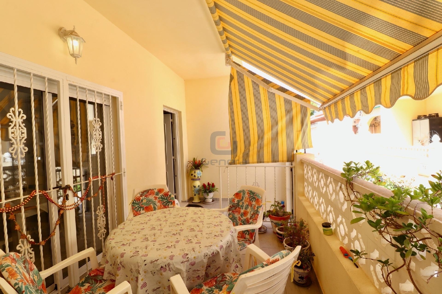  kaufen Haus San Fulgencio Baix Segura 4