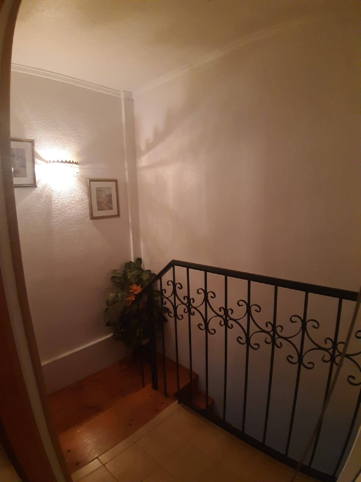  for sale house San Pedro Del Pinatar Mar Menor 3