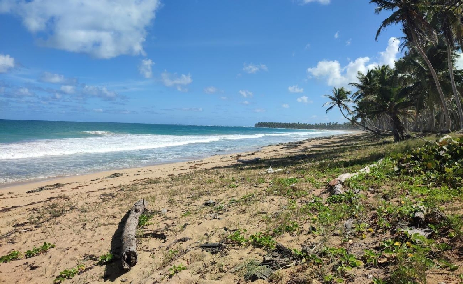  for sale house San Pedro De Palmiches Alcarria 1