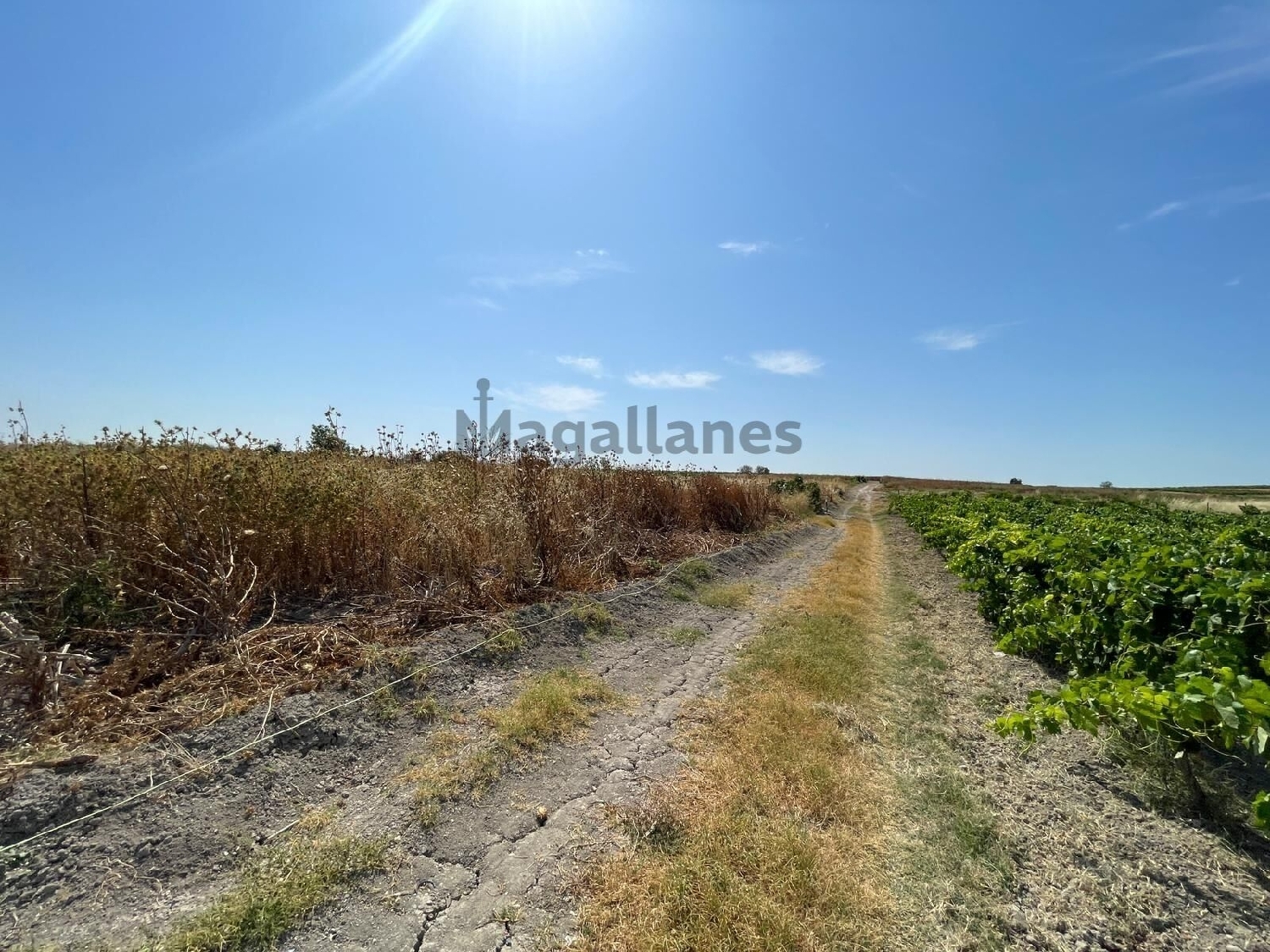for sale house Sanlúcar De Barrameda Costa Noroeste 2