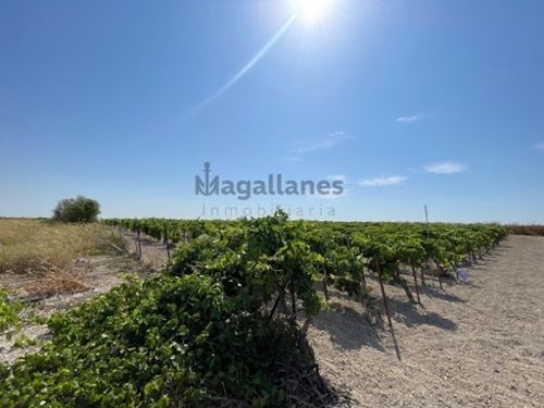 Sanlúcar De Barrameda Costa Noroeste maison foto 6278605