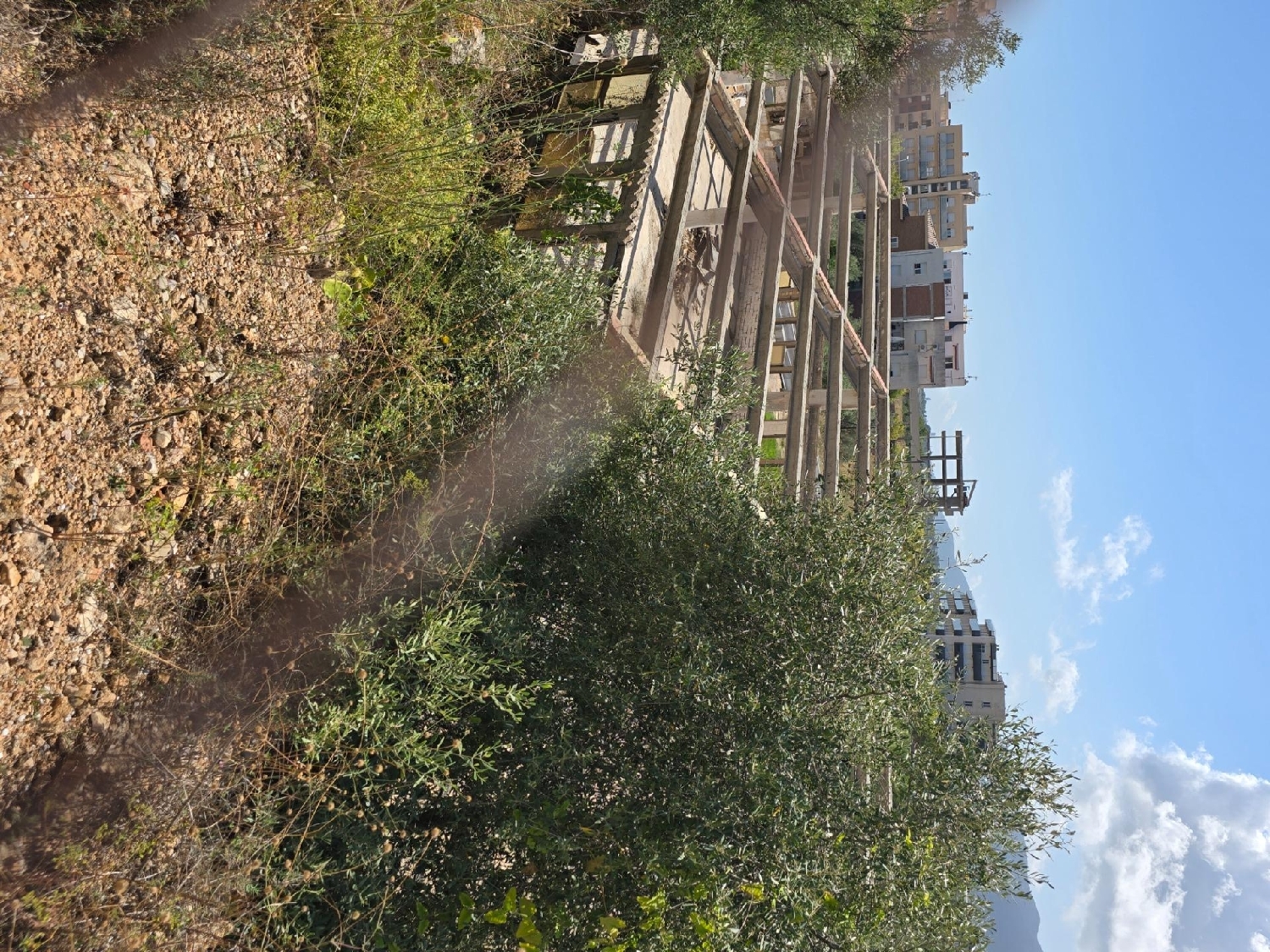  te koop huis Sant Carles De La Ràpita Montsià 5