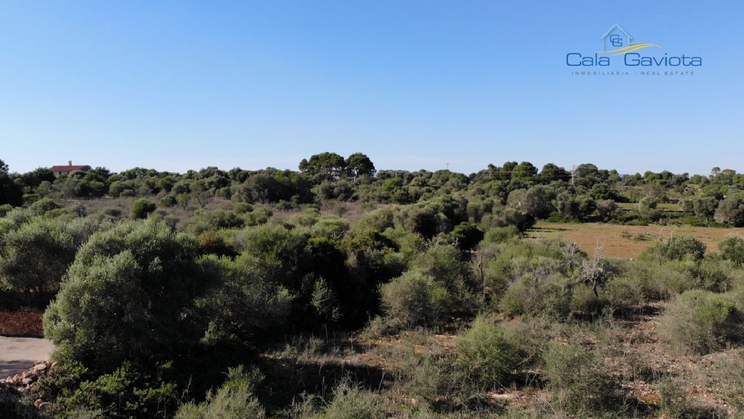  à vendre maison Sant Jordi De Ses Salines Sant Josep De Sa Talaia 5
