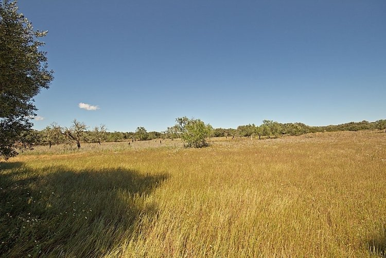  kaufen Haus Sant Jordi De Ses Salines Sant Josep De Sa Talaia 1