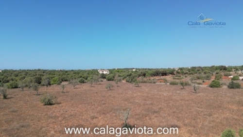Sant Jordi De Ses Salines Sant Josep De Sa Talaia Haus Bild 6271009