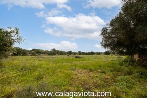 Sant Jordi De Ses Salines Sant Josep De Sa Talaia Haus Bild 6271018