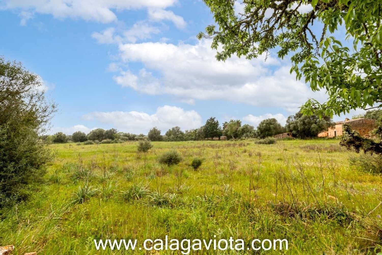  kaufen Haus Sant Jordi De Ses Salines Sant Josep De Sa Talaia 4
