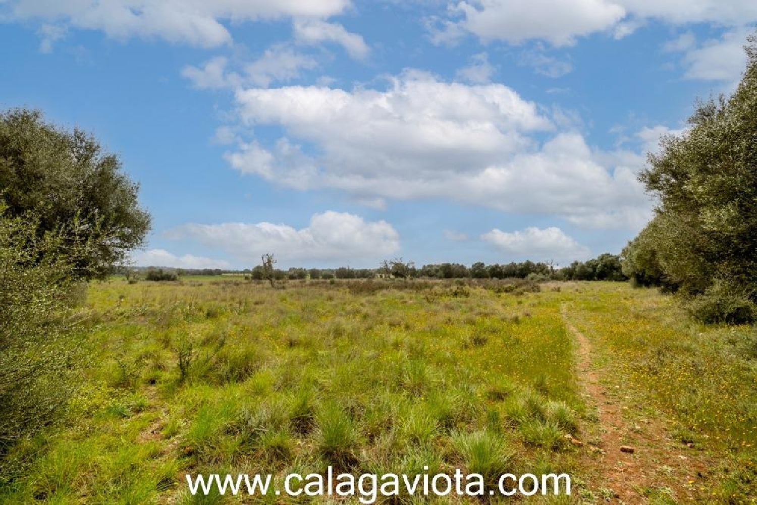  kaufen Haus Sant Jordi De Ses Salines Sant Josep De Sa Talaia 7