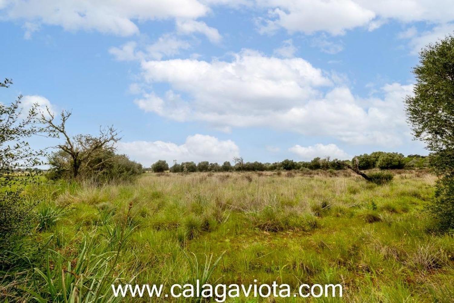  kaufen Haus Sant Jordi De Ses Salines Sant Josep De Sa Talaia 8