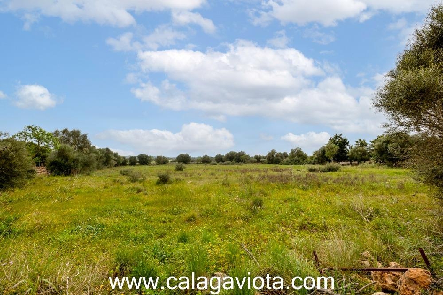 kaufen Haus Sant Jordi De Ses Salines Sant Josep De Sa Talaia 3