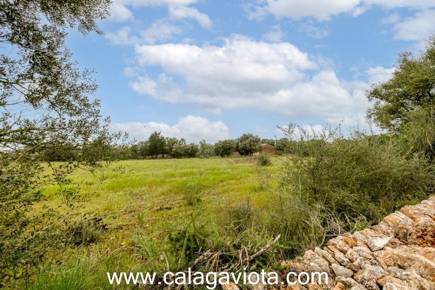  kaufen Haus Sant Jordi De Ses Salines Sant Josep De Sa Talaia 5