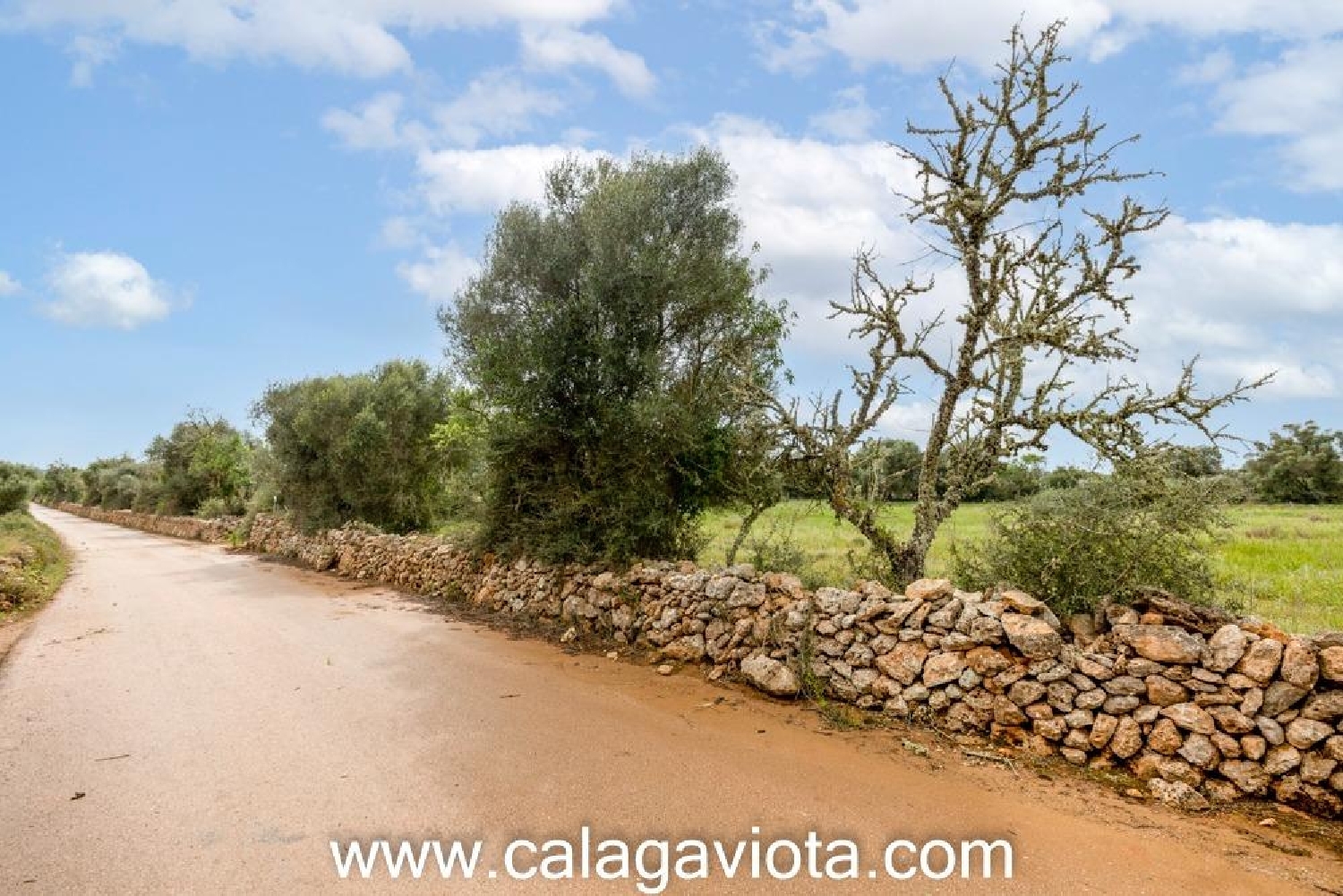  kaufen Haus Sant Jordi De Ses Salines Sant Josep De Sa Talaia 6