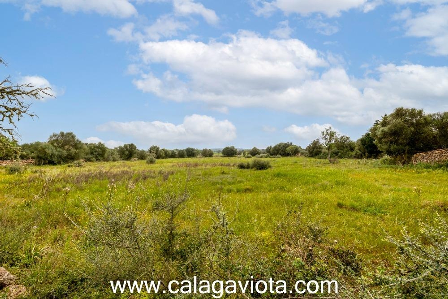 kaufen Haus Sant Jordi De Ses Salines Sant Josep De Sa Talaia 2