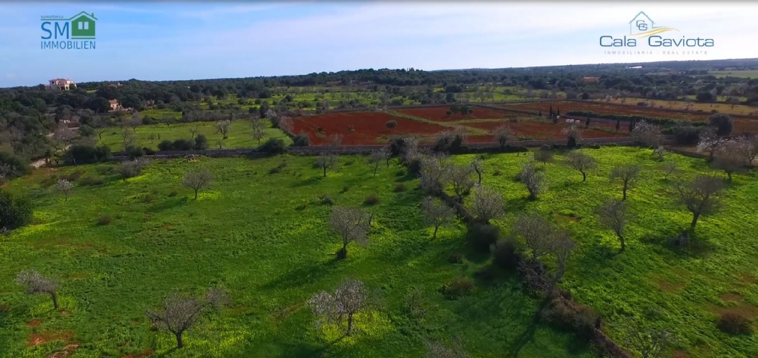 for sale house Sant Jordi De Ses Salines Sant Josep De Sa Talaia 2