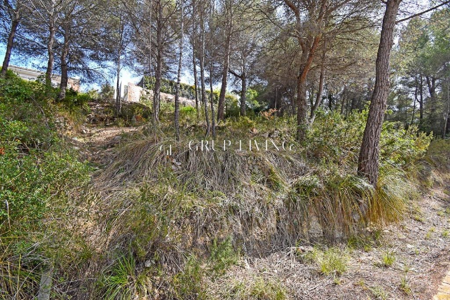 kaufen Haus Sant Pere De Ribes Garraf 3