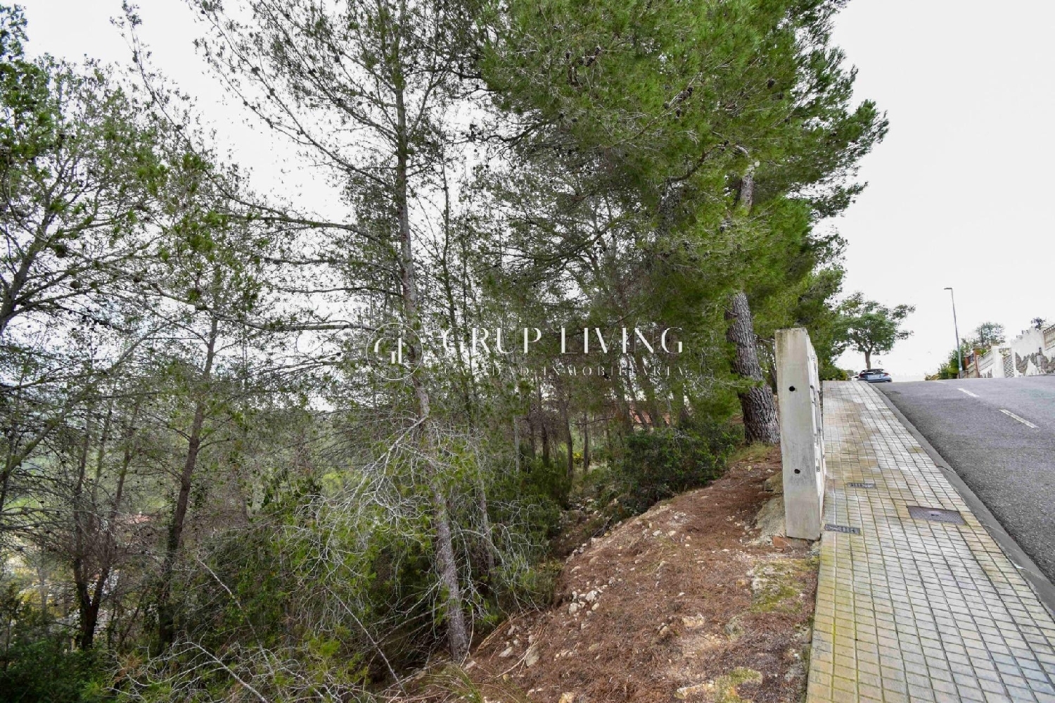  à vendre maison Sant Pere De Ribes Garraf 8