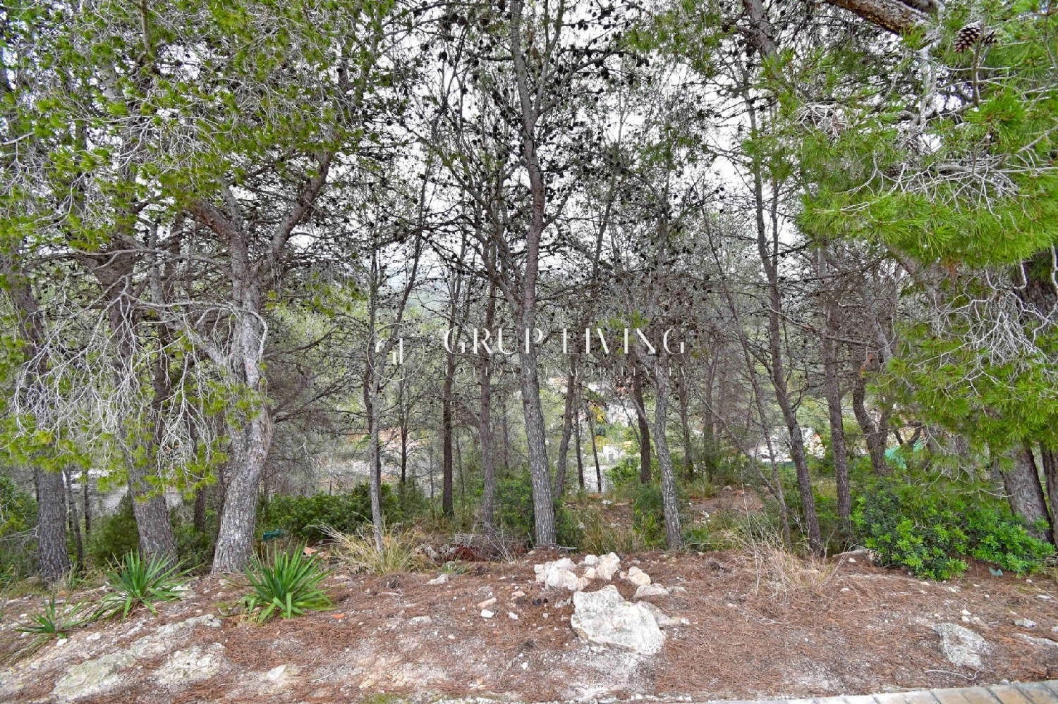  à vendre maison Sant Pere De Ribes Garraf 1