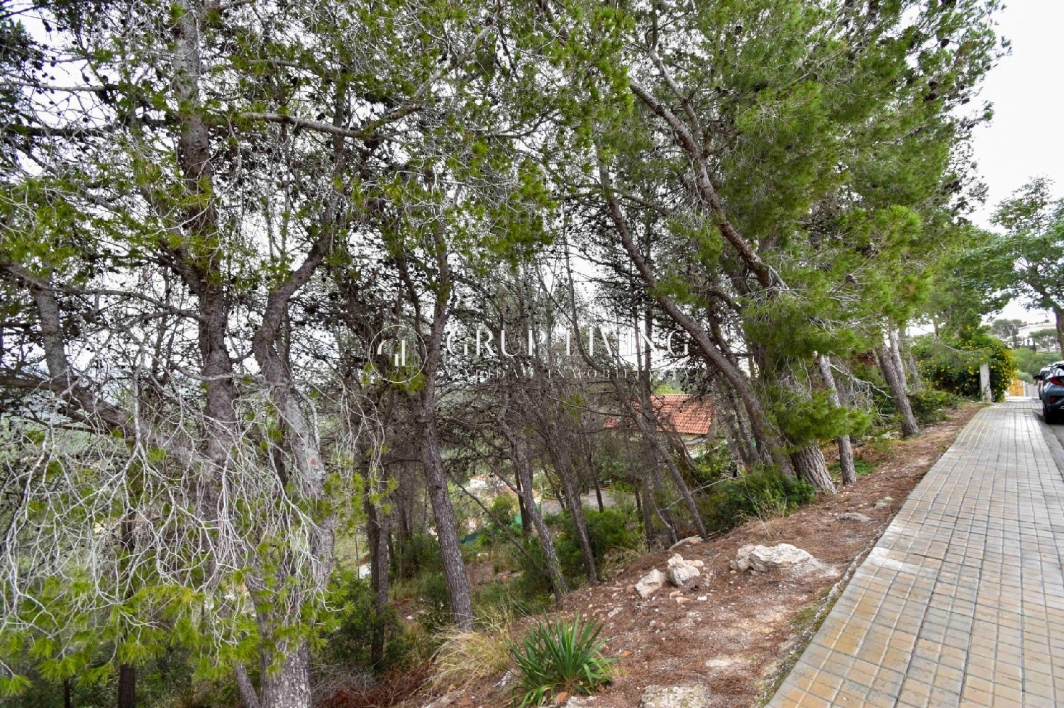  à vendre maison Sant Pere De Ribes Garraf 4
