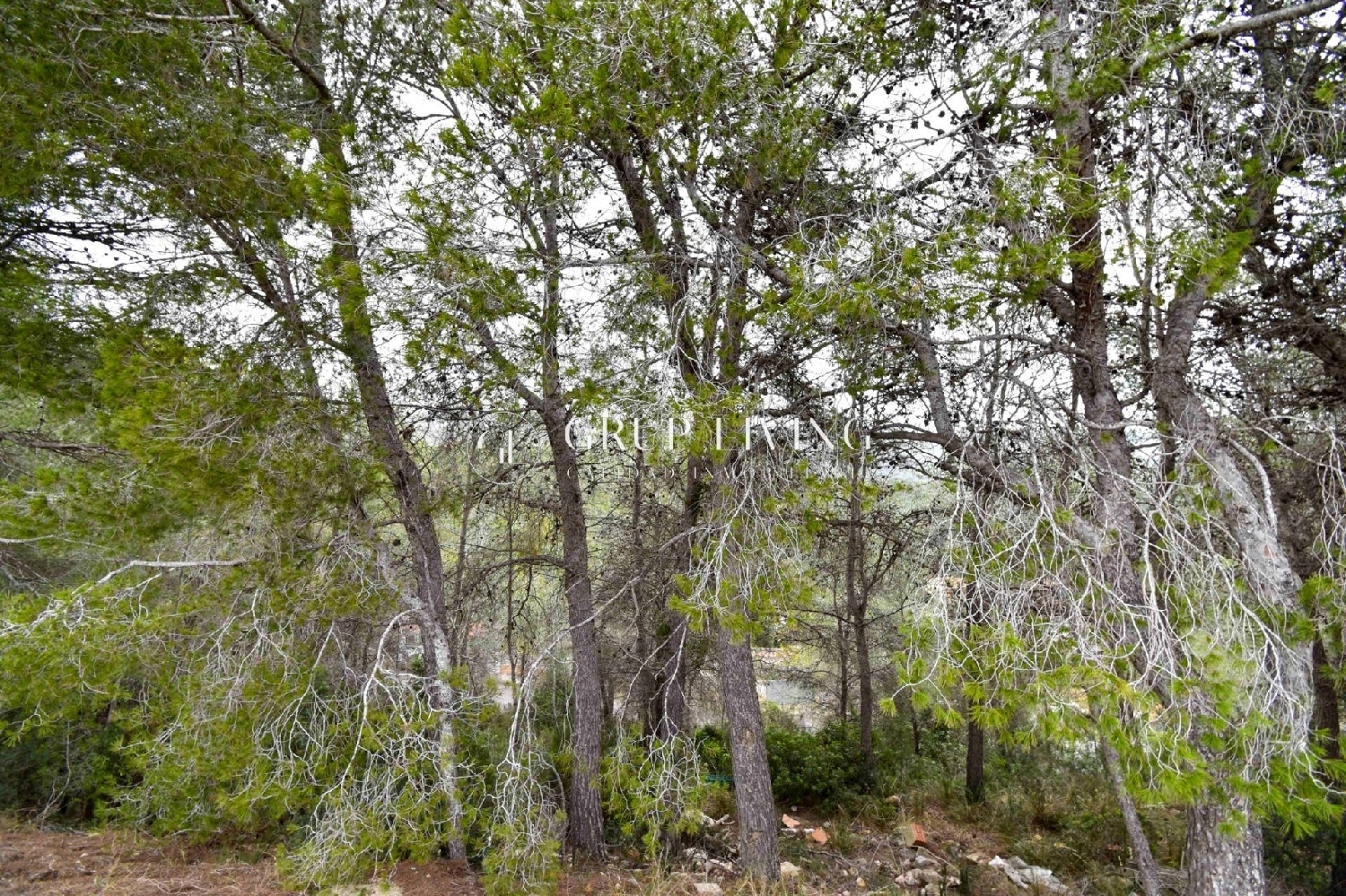  à vendre maison Sant Pere De Ribes Garraf 5