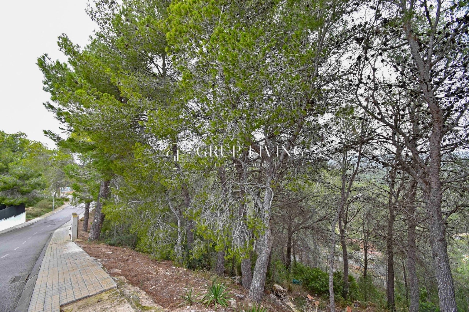 à vendre maison Sant Pere De Ribes Garraf 2