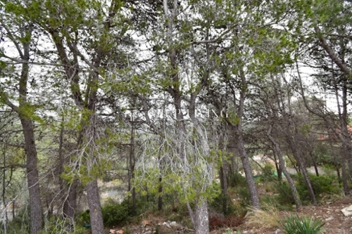 Sant Pere De Ribes Garraf maison foto 6270394