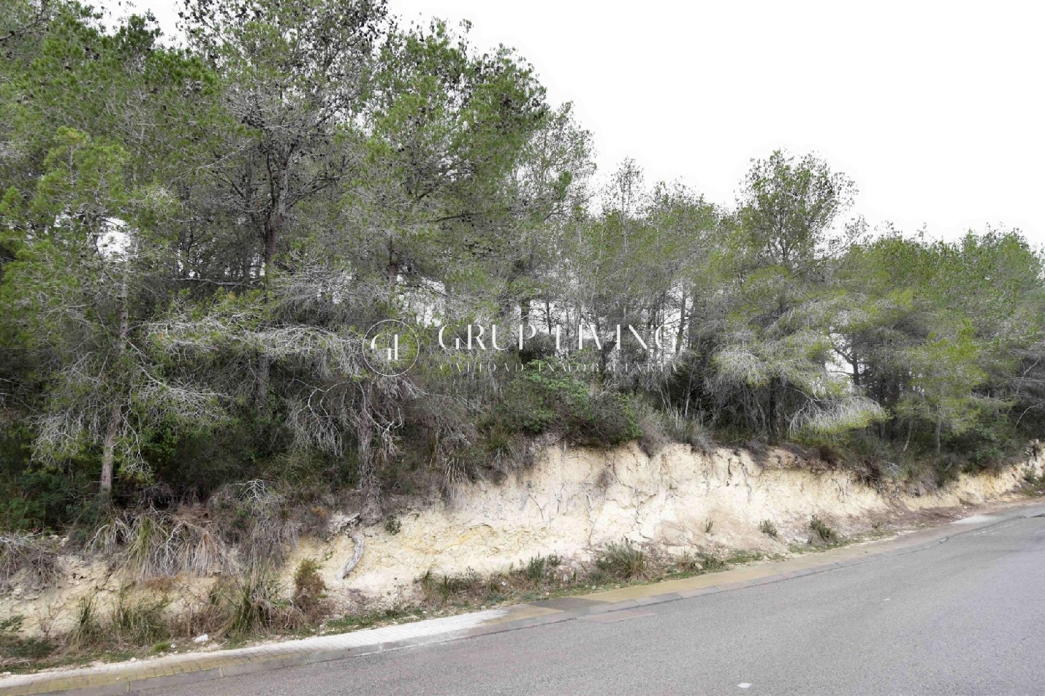  à vendre maison Sant Pere De Ribes Garraf 6