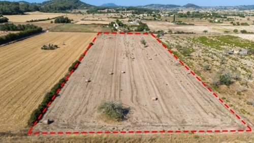 Sineu Pla (Es) maison foto 6266666