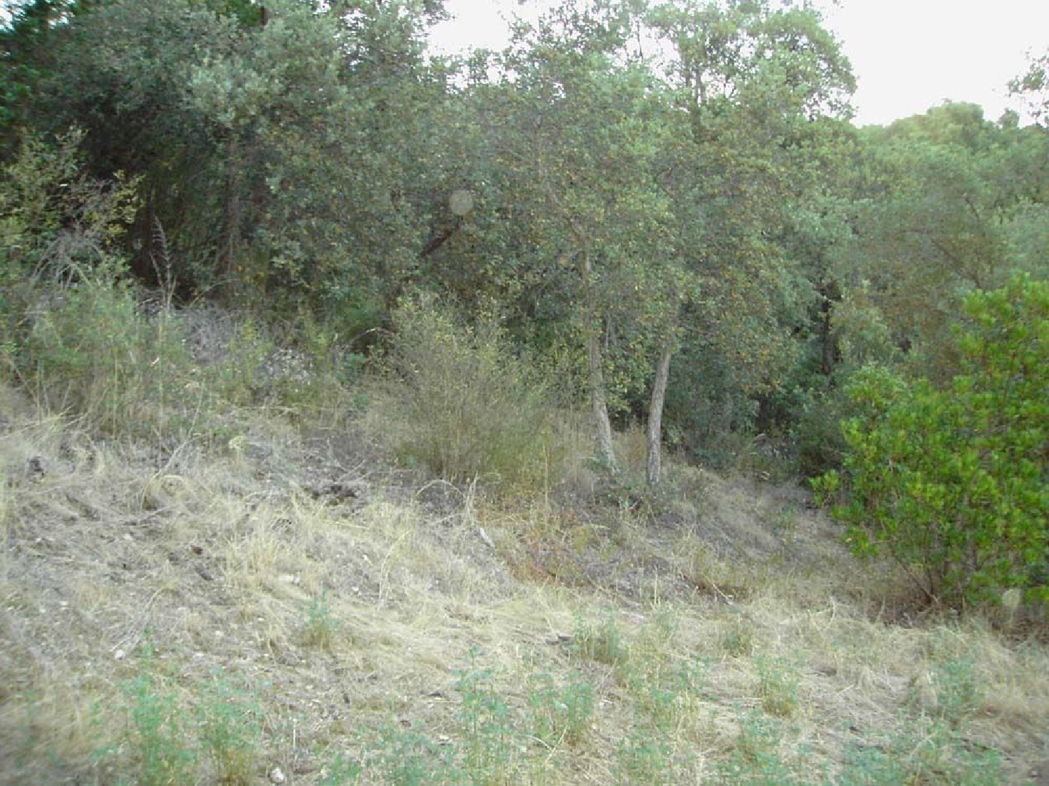  till salu hus Solius Baix Empordà 6
