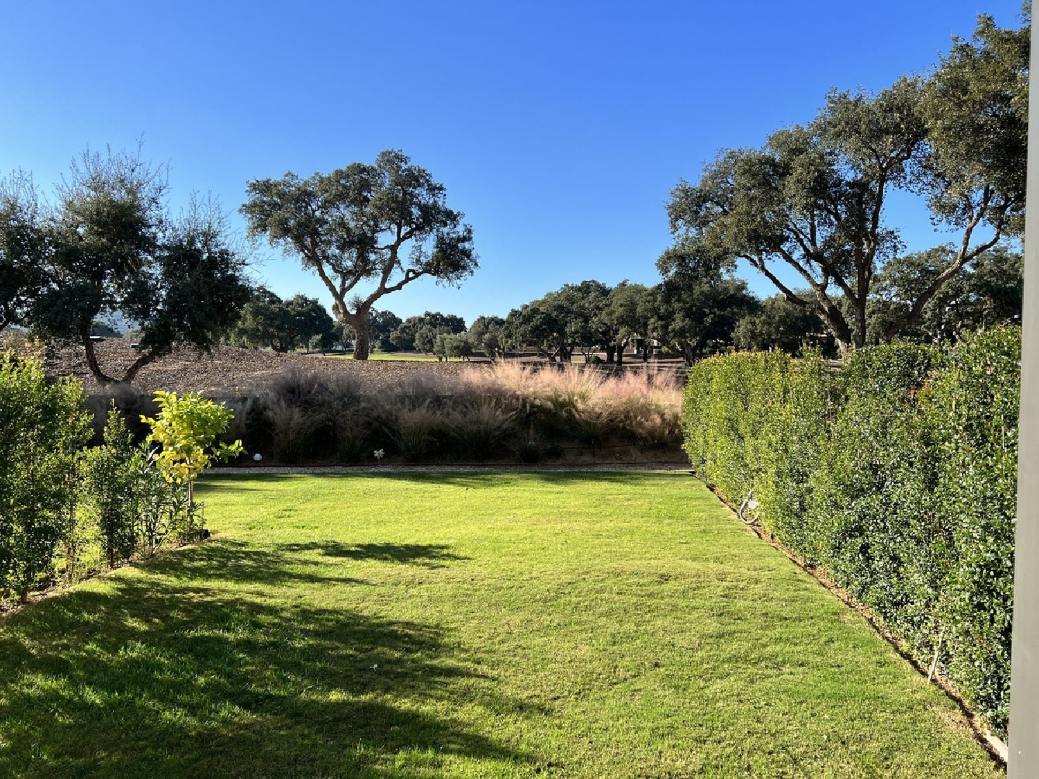  for sale house Sotogrande Campo De Gibraltar 7