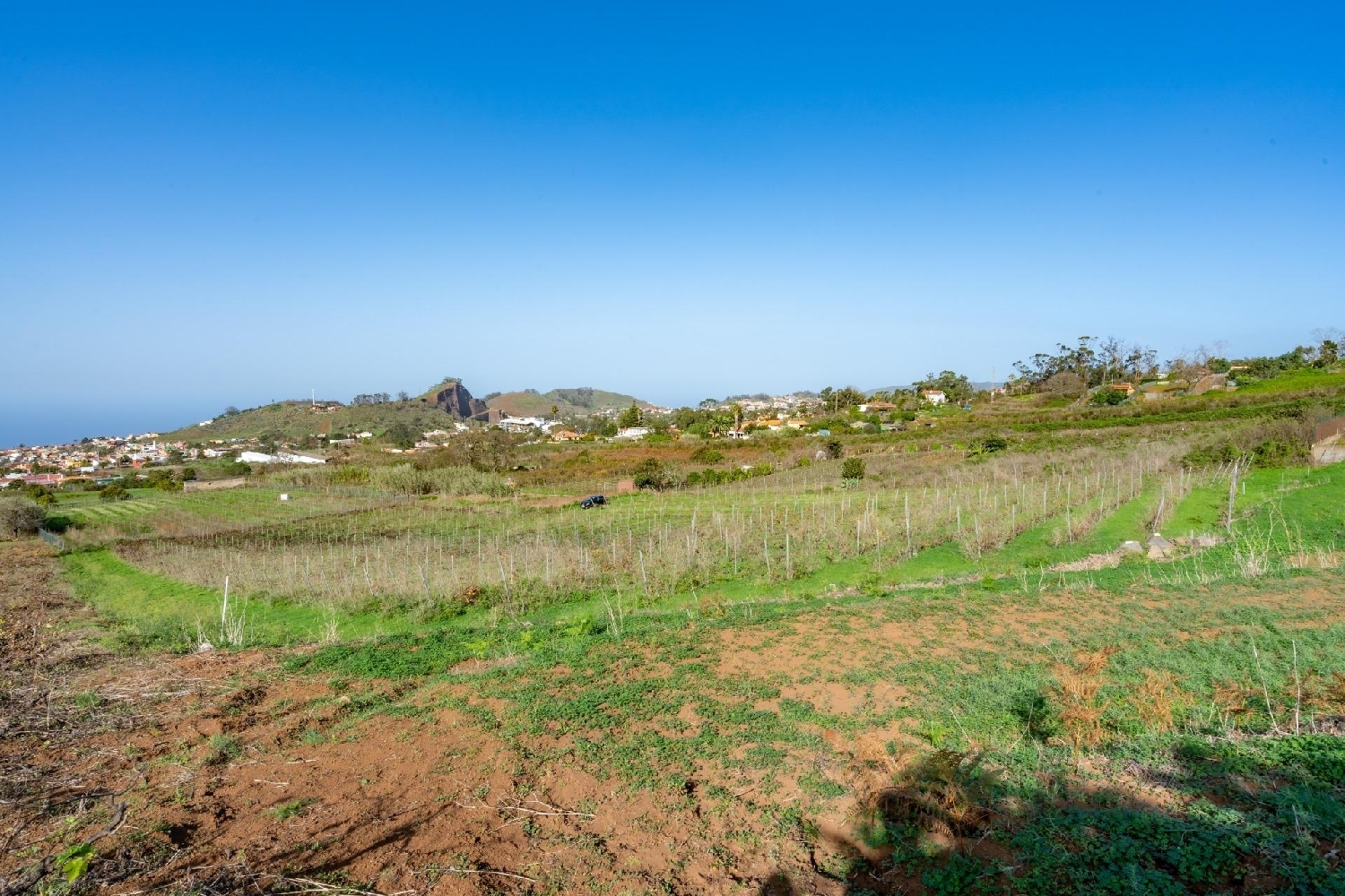  kaufen Haus Tacoronte Zona Norte 6