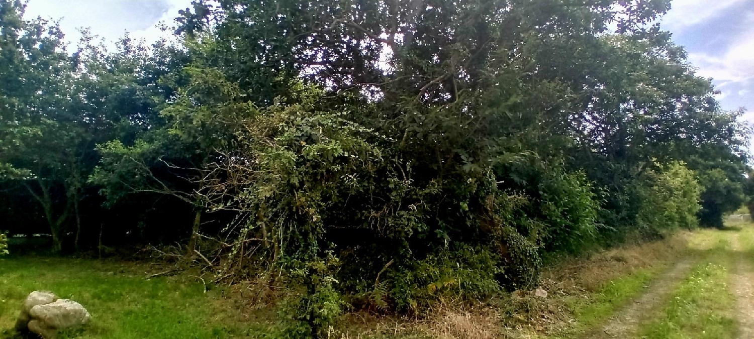  te koop huis Tapia De Casariego Eo-Navia 8