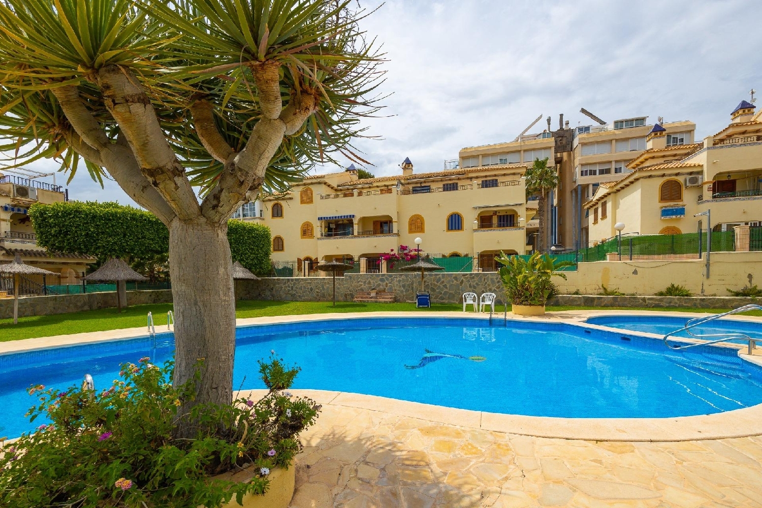  for sale house Torrevieja Baix Segura 1