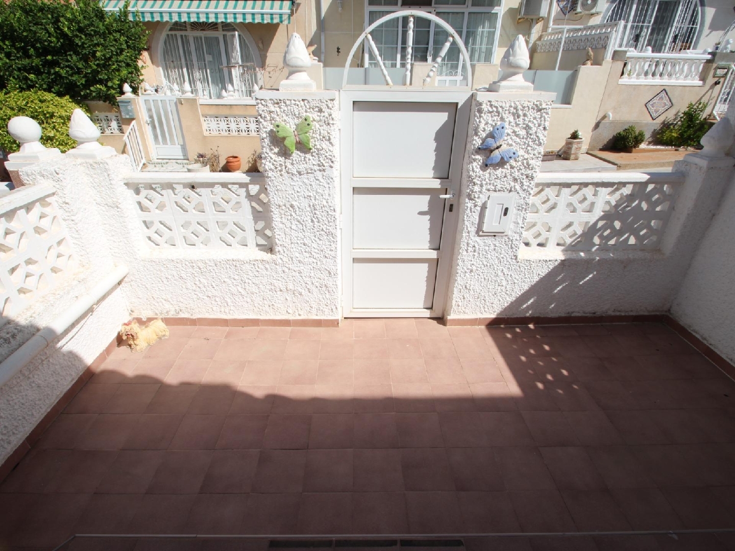kaufen Haus Torrevieja Baix Segura 2
