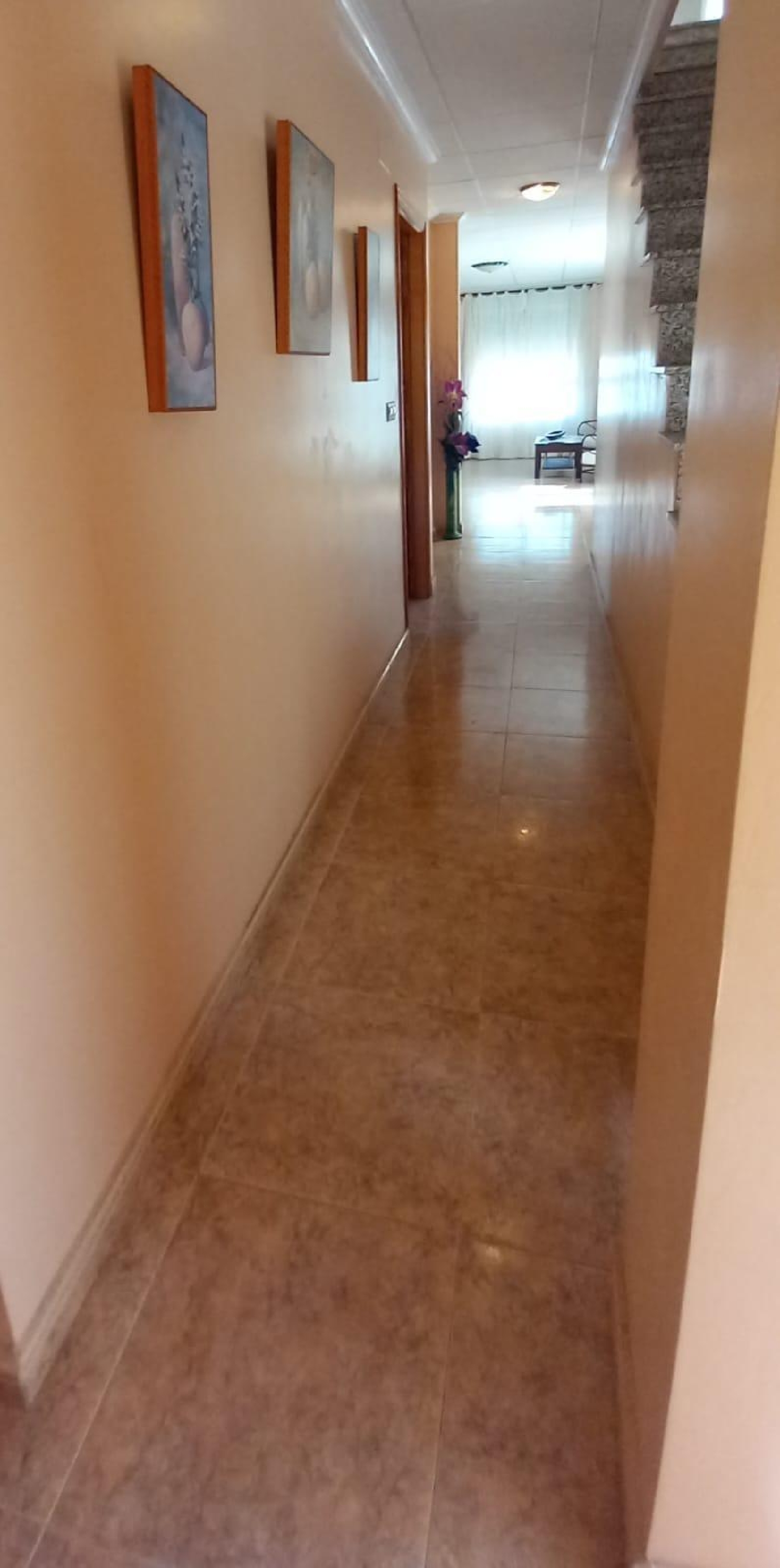  kaufen Haus Torrevieja Baix Segura 4