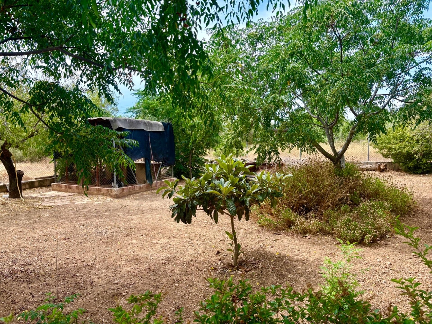  à vendre maison Tortosa Baix Ebre 6