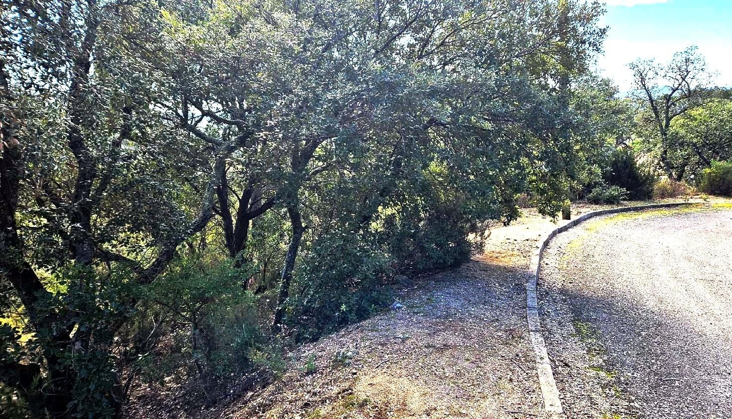 till salu hus Urbanitzacio Mas Trempat Baix Empordà 3