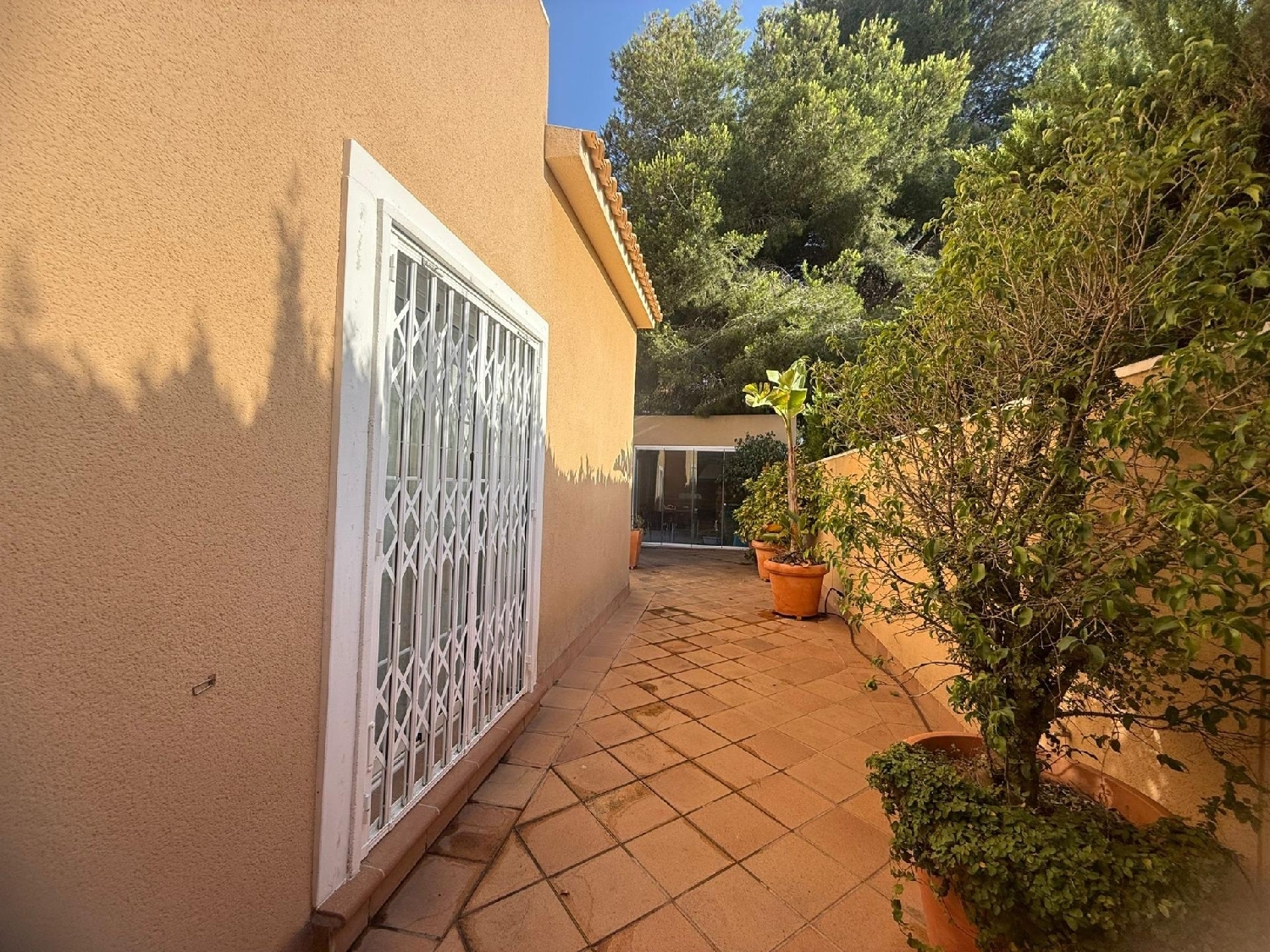  à vendre maison Urbanización Horizonte Baix Segura 5