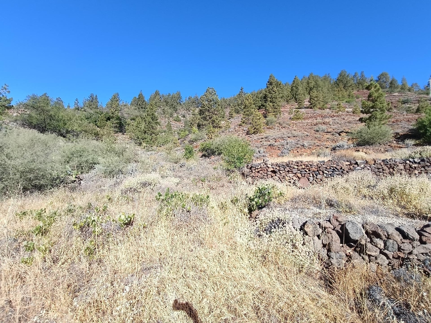  for sale house Vilaflor Zona Sur 1