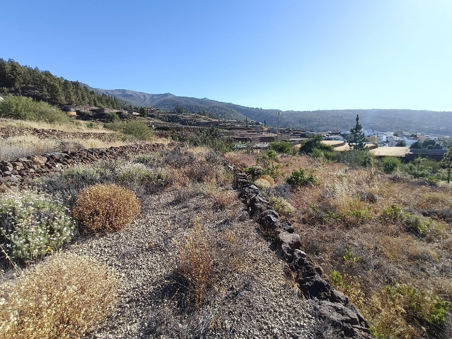  for sale house Vilaflor Zona Sur 6