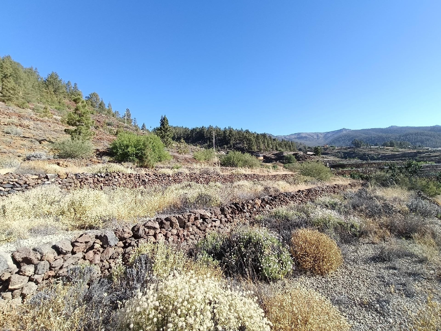 for sale house Vilaflor Zona Sur 2