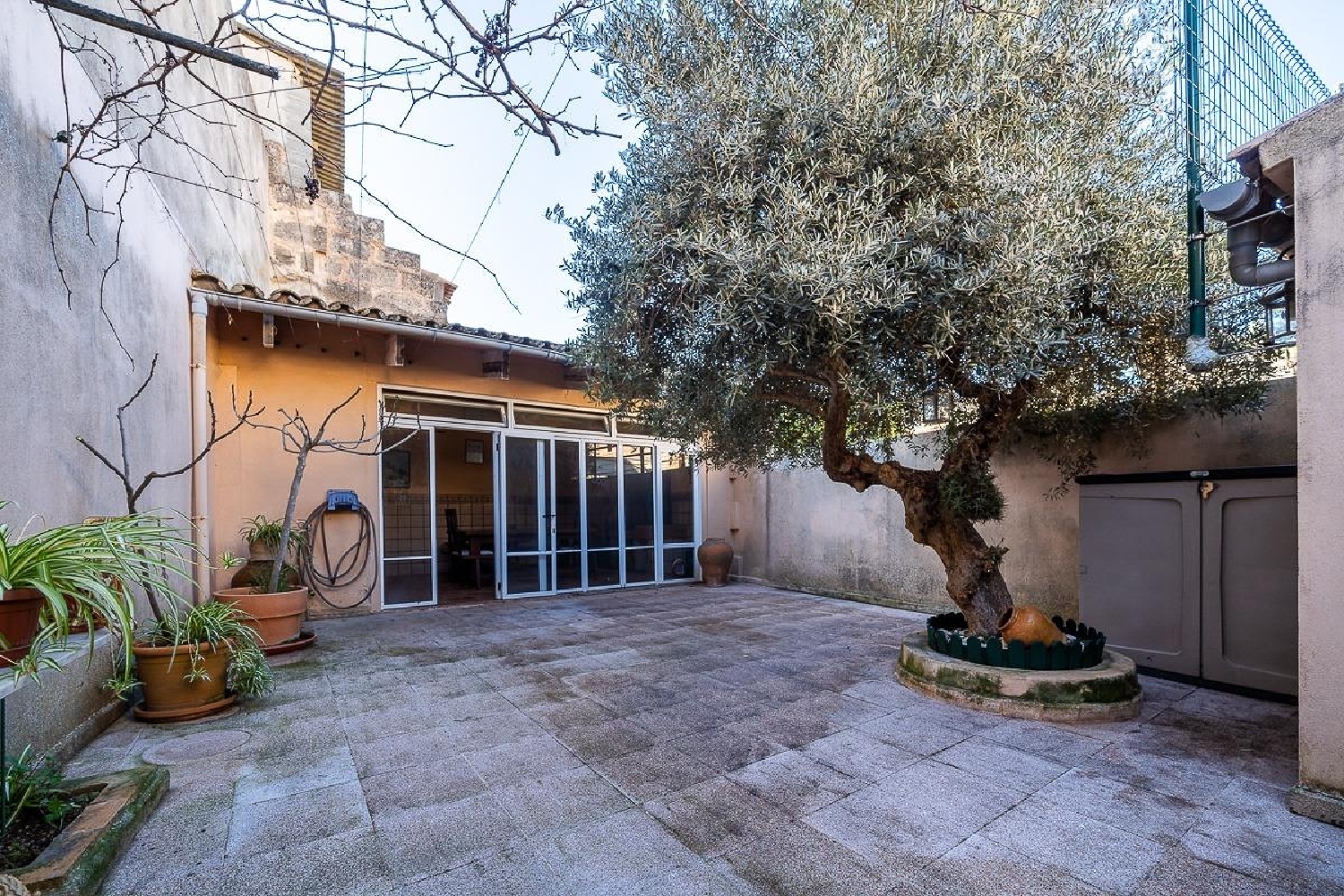 kaufen Haus Vilafranca De Bonany Pla (Es) 5