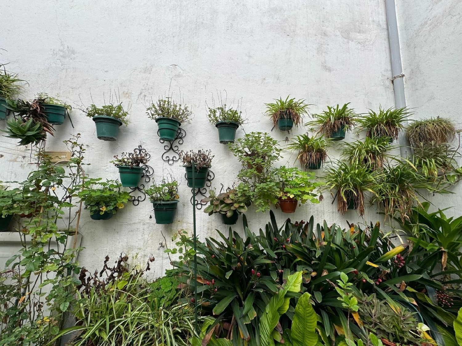 kaufen Haus Villafranca De Córdoba Alto Guadalquivir 2