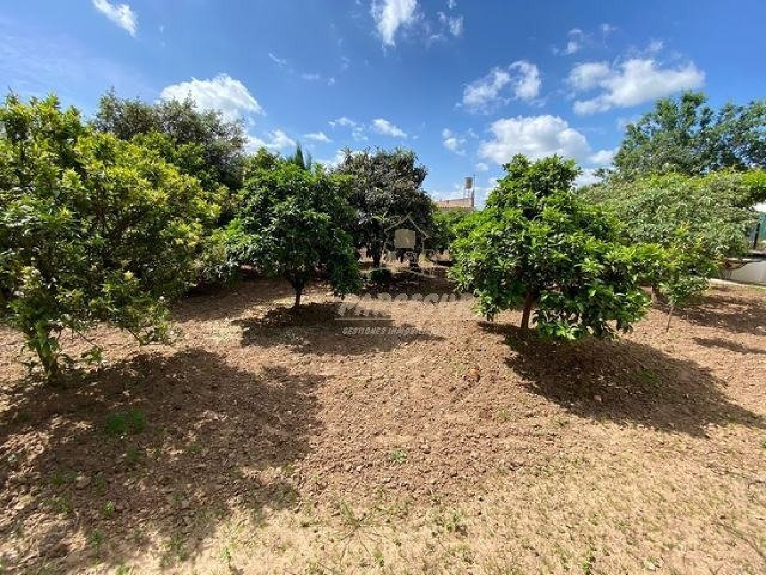  à vendre maison Villafranca De Córdoba Alto Guadalquivir 7