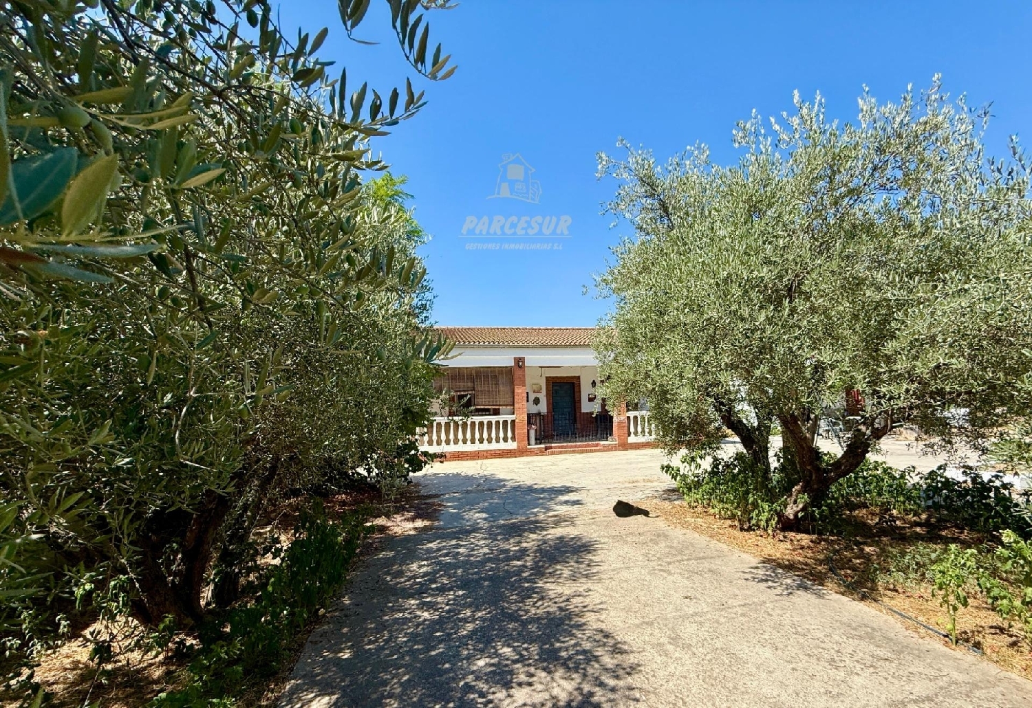  for sale house Villafranca De Córdoba Alto Guadalquivir 1