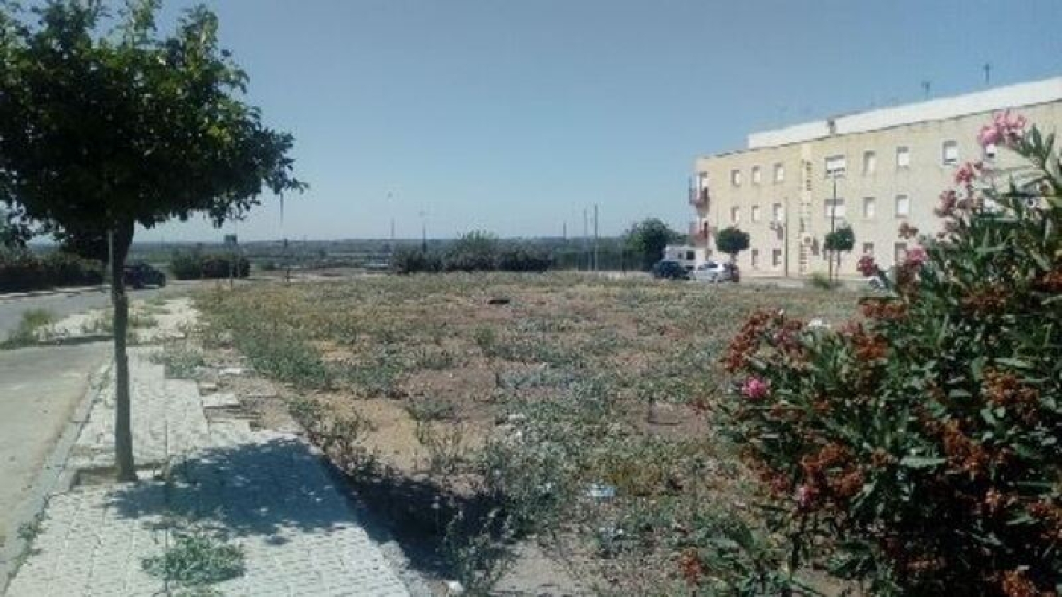  kaufen Büro Cantillana Vega Del Guadalquivir 8