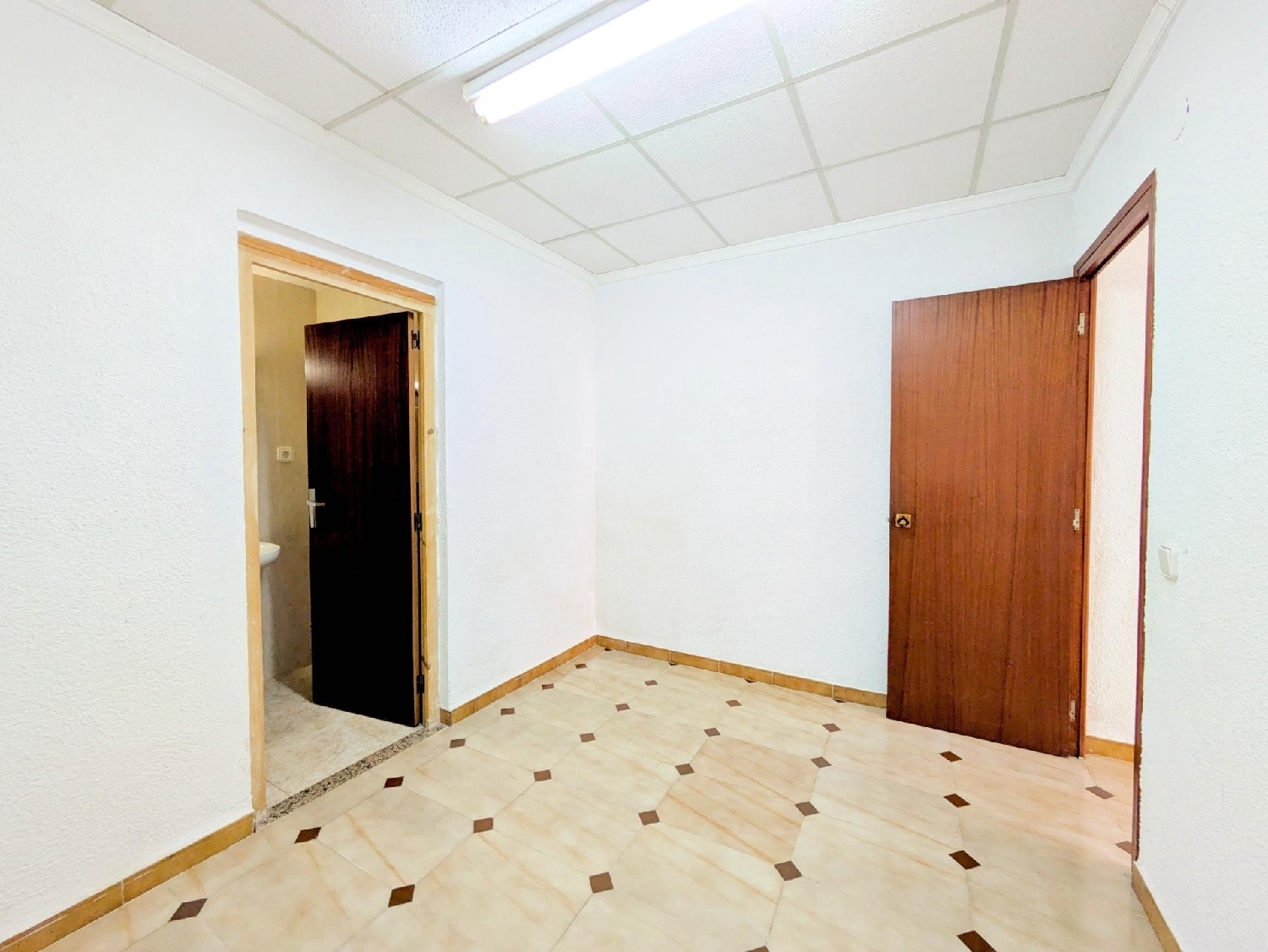  till salu kontor Eucaliptus Montsià 5