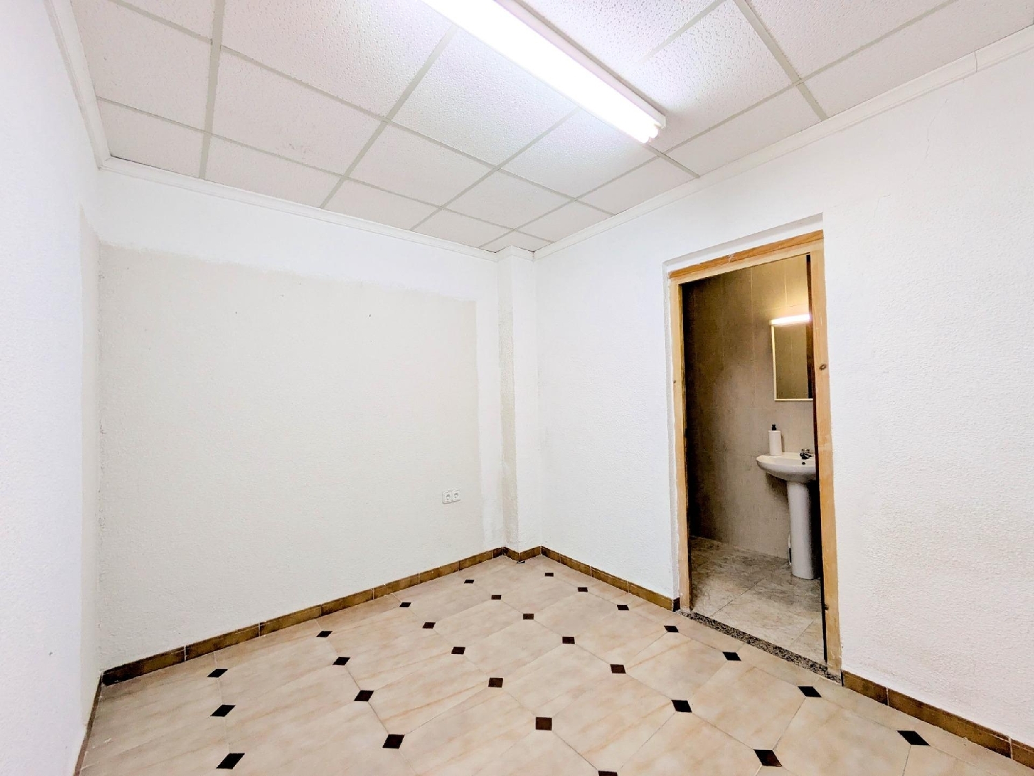  till salu kontor Eucaliptus Montsià 4