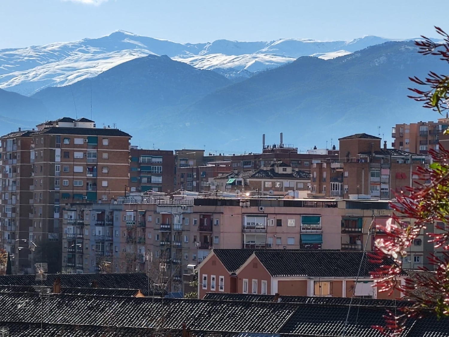  en venta ático Granada Vega De Granada 4