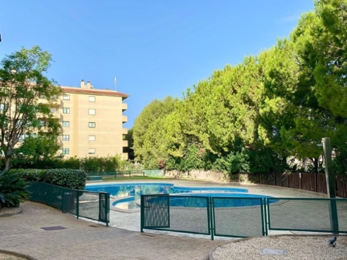 Paseo Mallorca-Avenida Argentina Palma penthouse foto 6266542